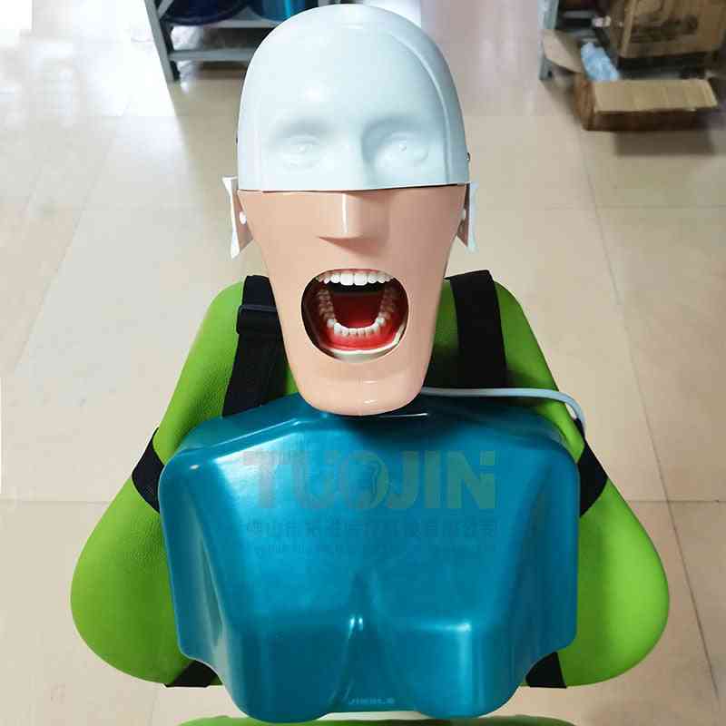 C4 Type Dental Simulation Head Model