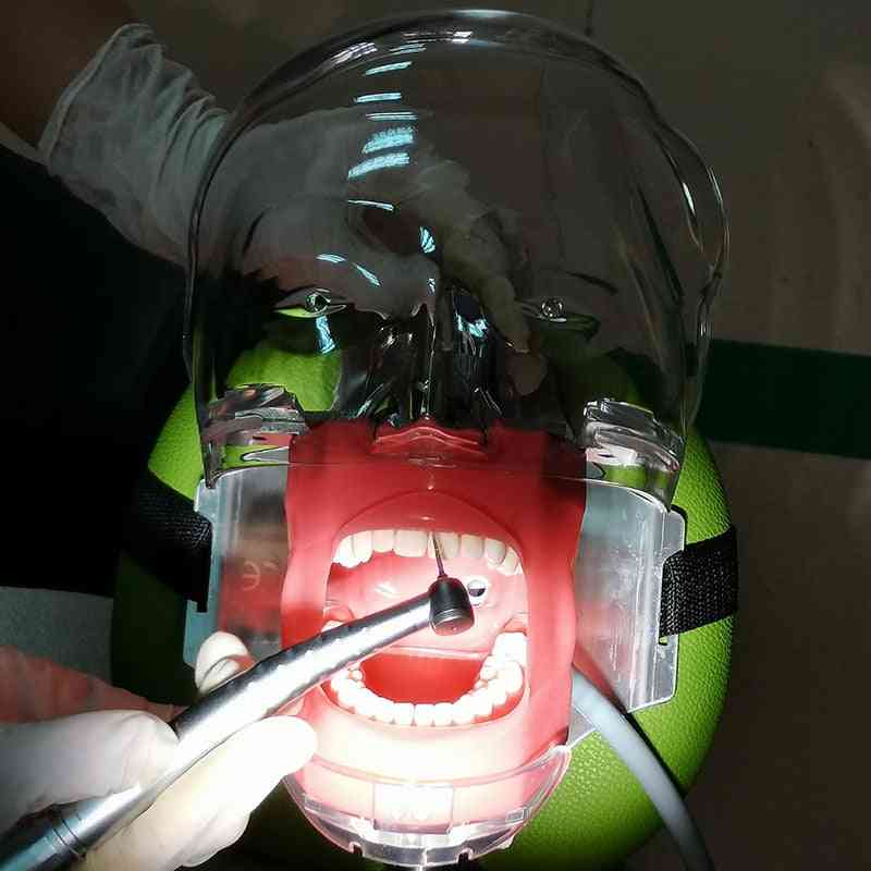 Dental Simulator Teeth Model Can Installed On The Pillow