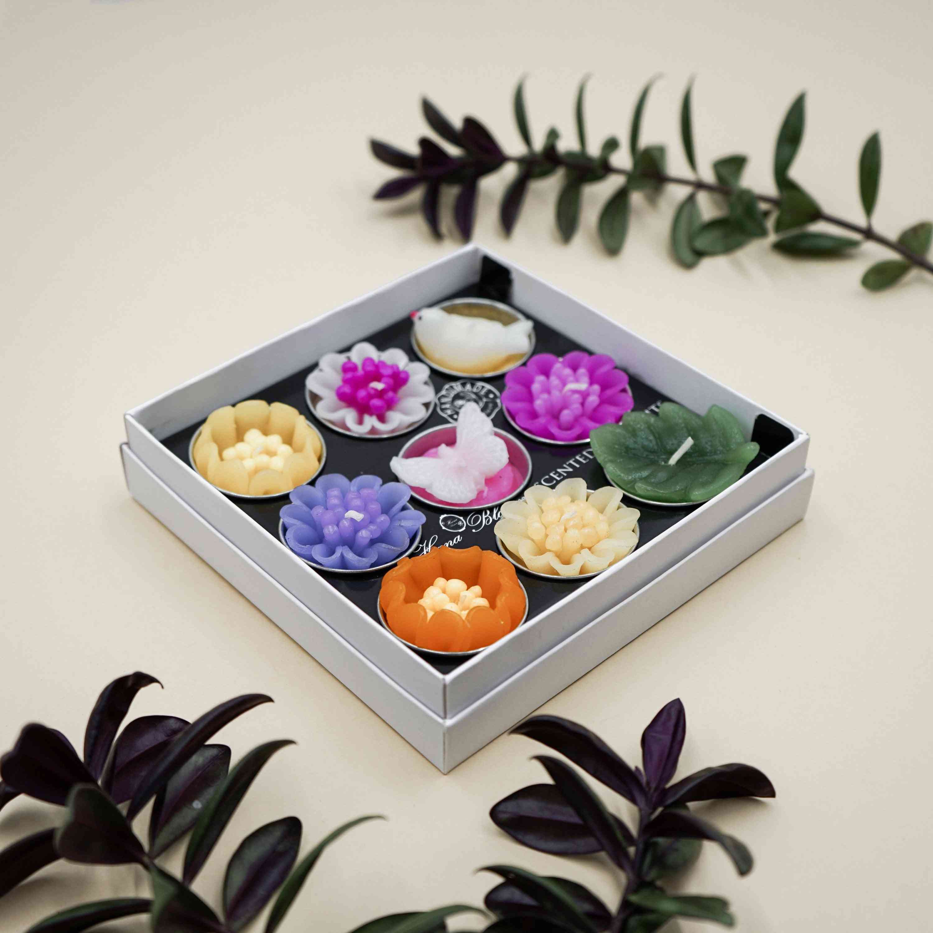 Velké rozmanité čajové svíčky s vůní ptáků a květin