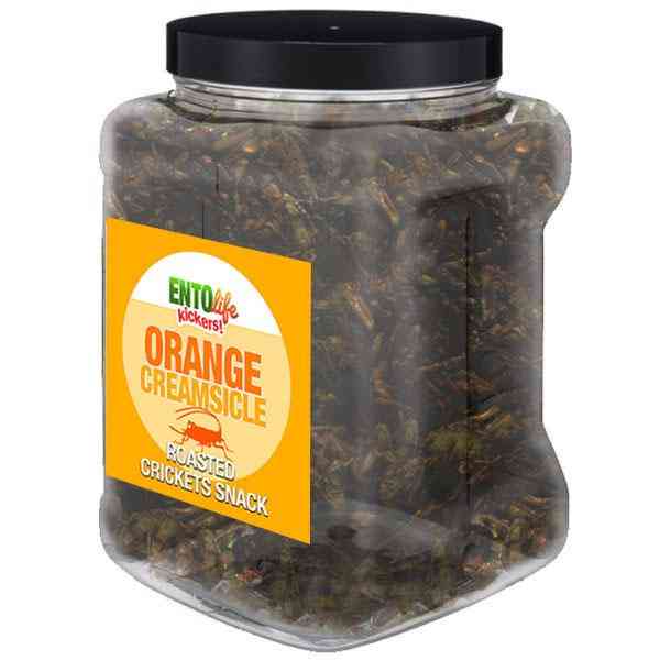 Orange Creamsicle Flavored Cricket Snack
