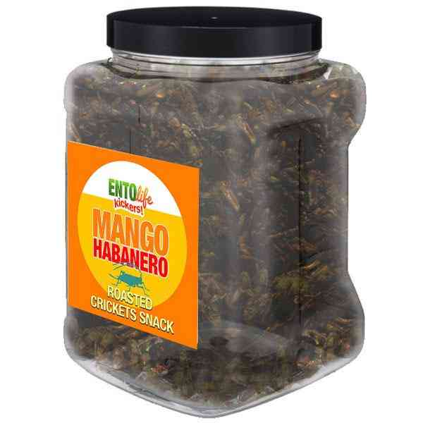 Cricket-Snack mit Habanero-Mango-Geschmack