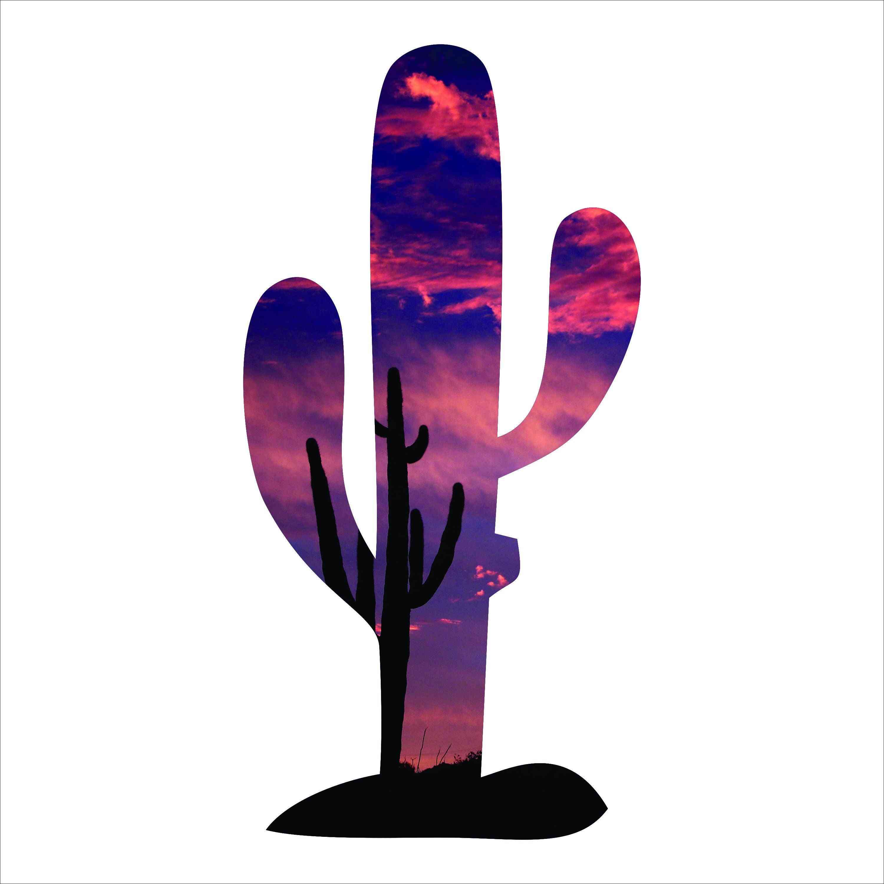 Cactus Shaped Imagery Sign