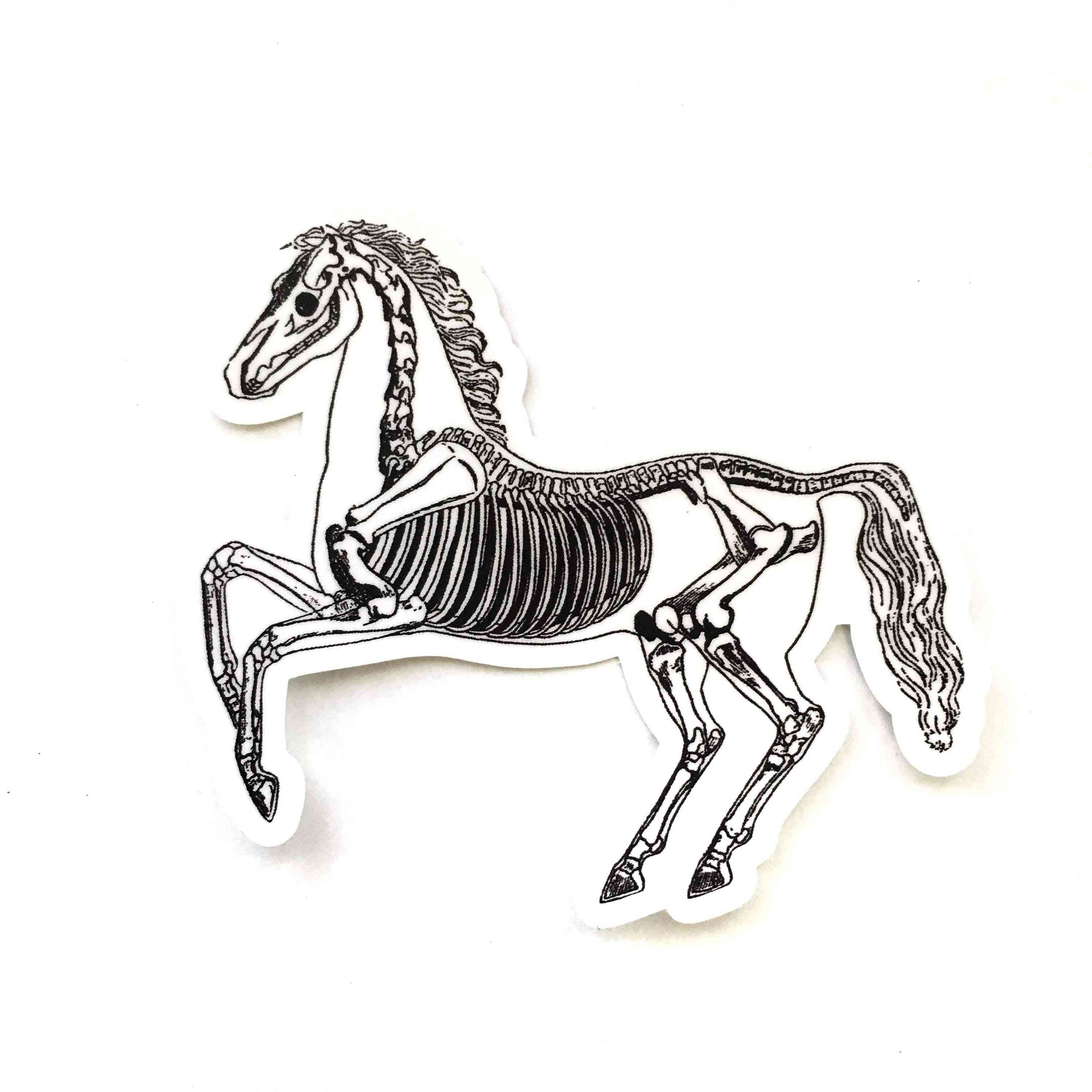 Autocollant vinyle cheval squelette vintage