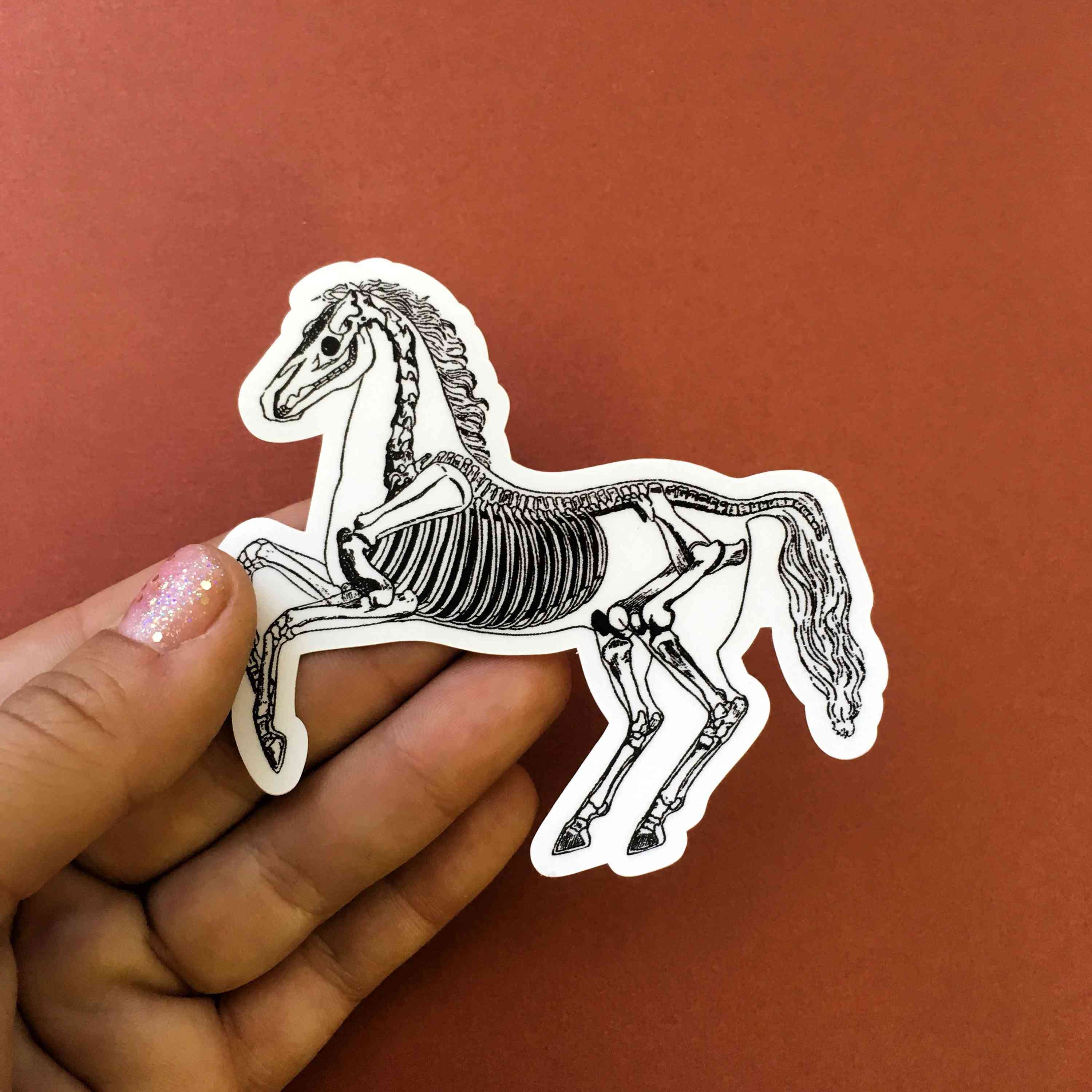 Vintage skelet paard vinyl sticker