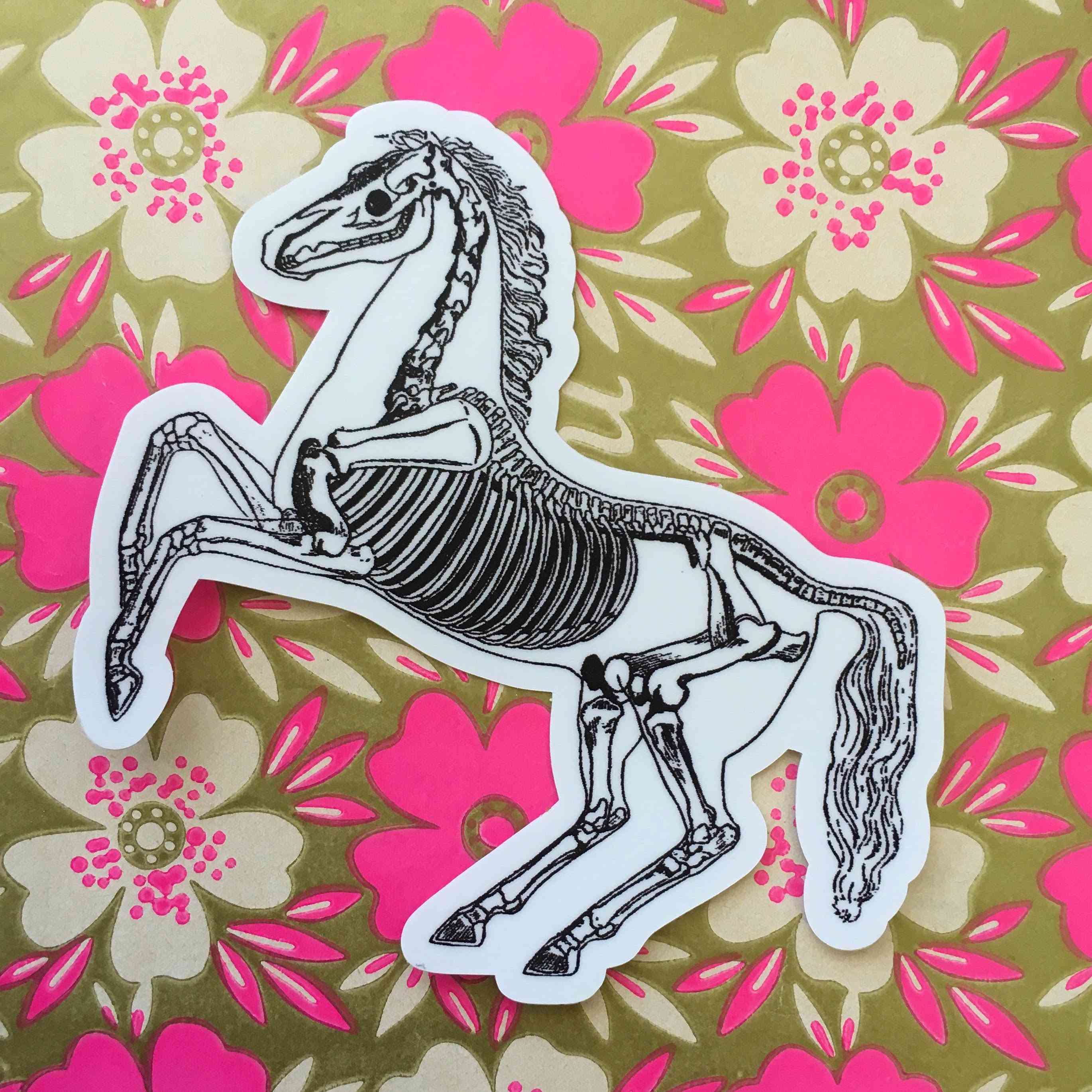 Vinilo decorativo caballo esqueleto vintage