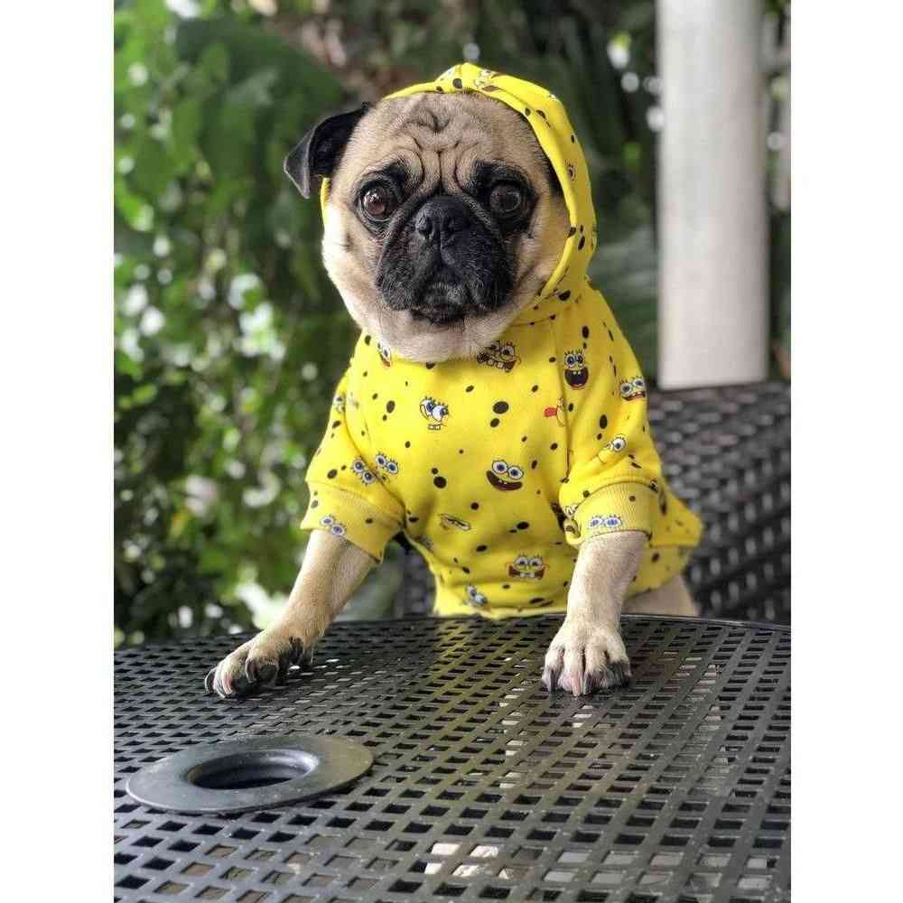 Spongebob X Fresh Pawz - Sb All Over Hoodie, Dog Clothing