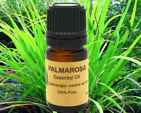 Palmarosa Essential Oil Organic 15ml
