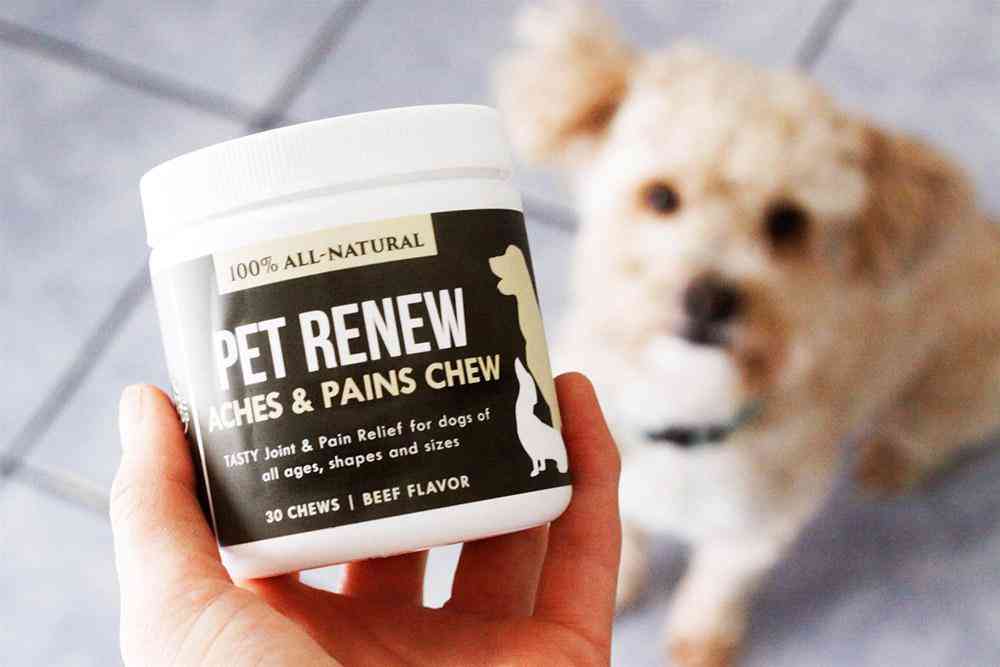 Pet Renew Chews For Dogs