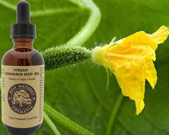 Cold Pressed Virgin Cucumber Seed Oil