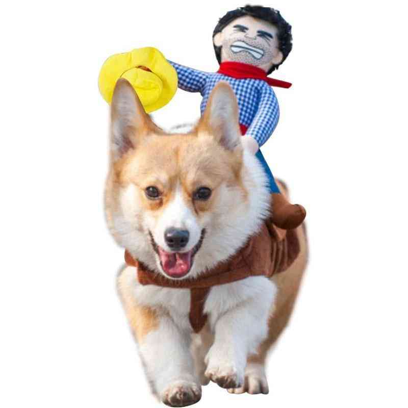 Costum de călărie pentru câine de companie