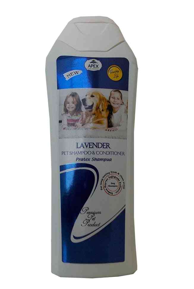 Apex pratex lavande, shampooing liquide pour chien