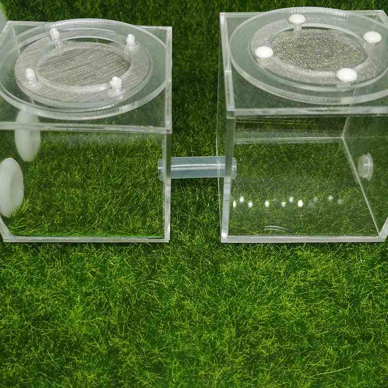 Ferme de nid de fourmis carré, zone d'activité transparente acrylique