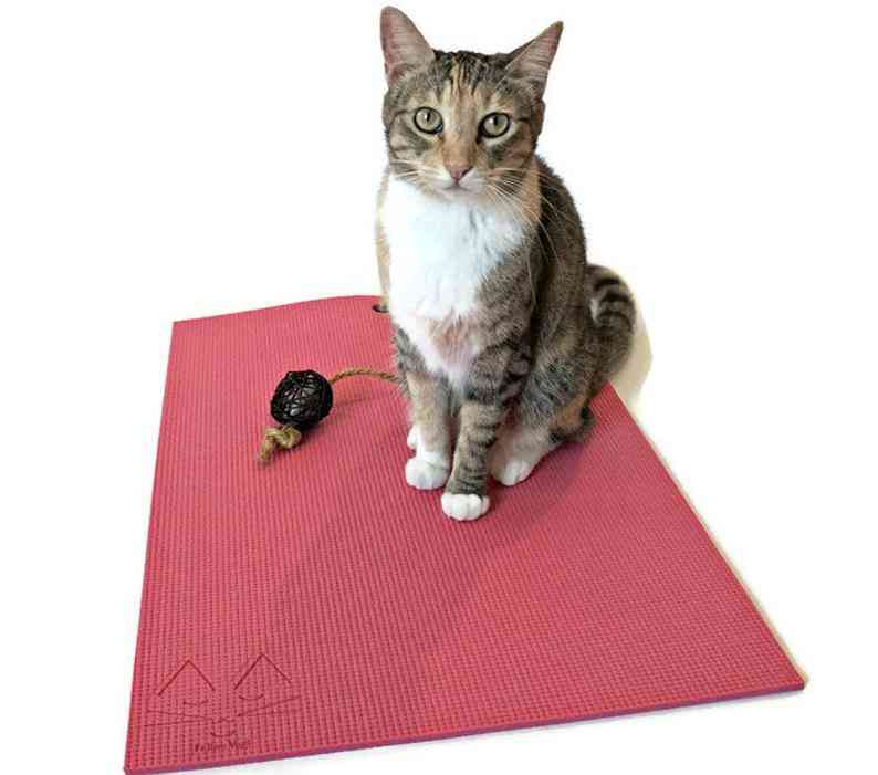 Estera felina del gato del yoga del yogui - rosa