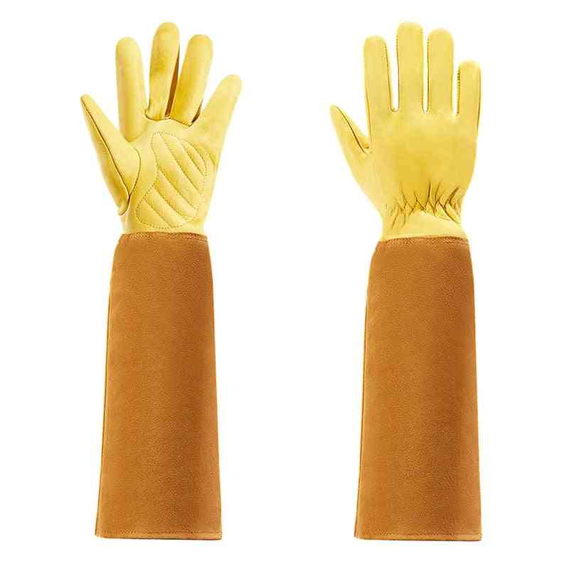 Gardening Gloves And Men