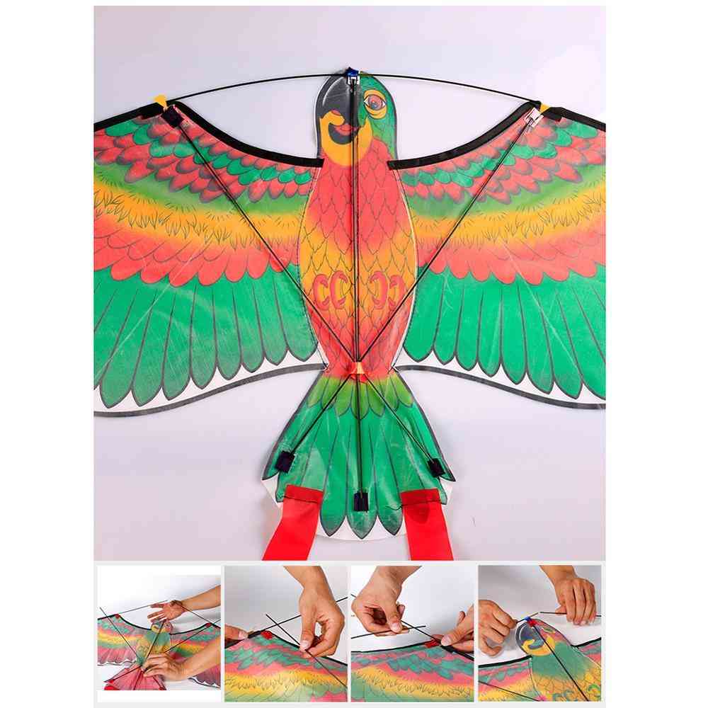 3d Parrots Kite Flying  With 50m String Design