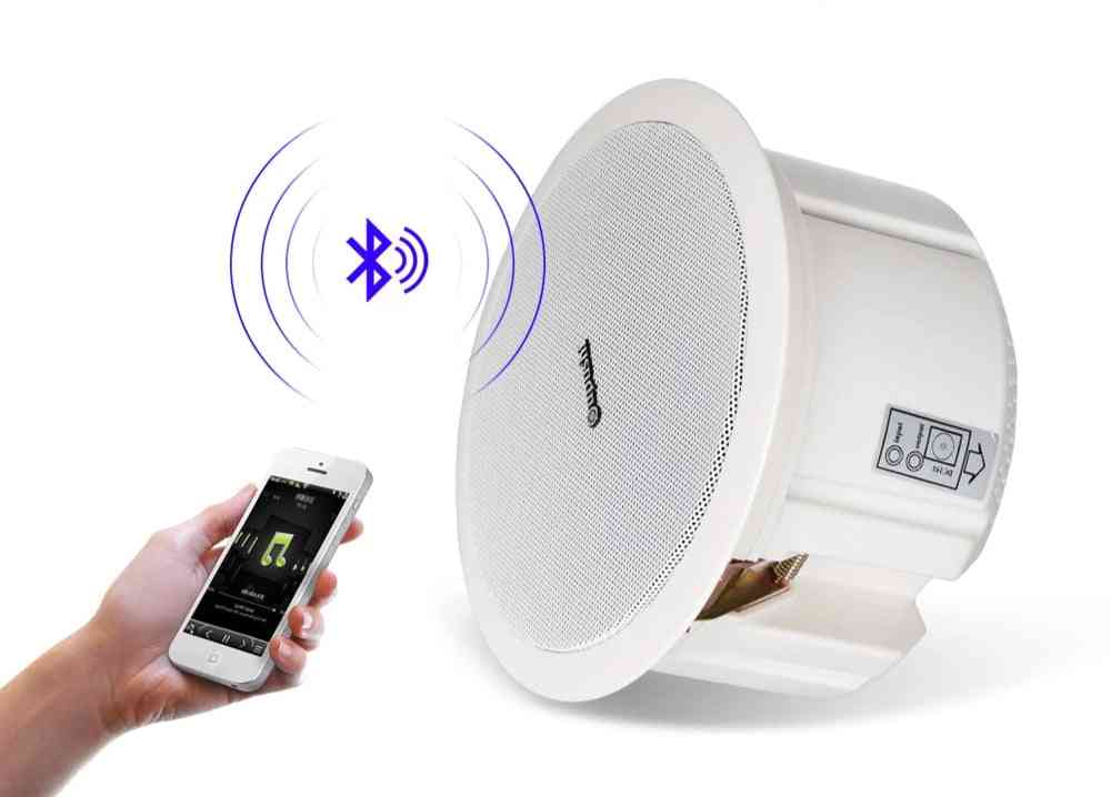 Bluetooth Ceiling Speaker
