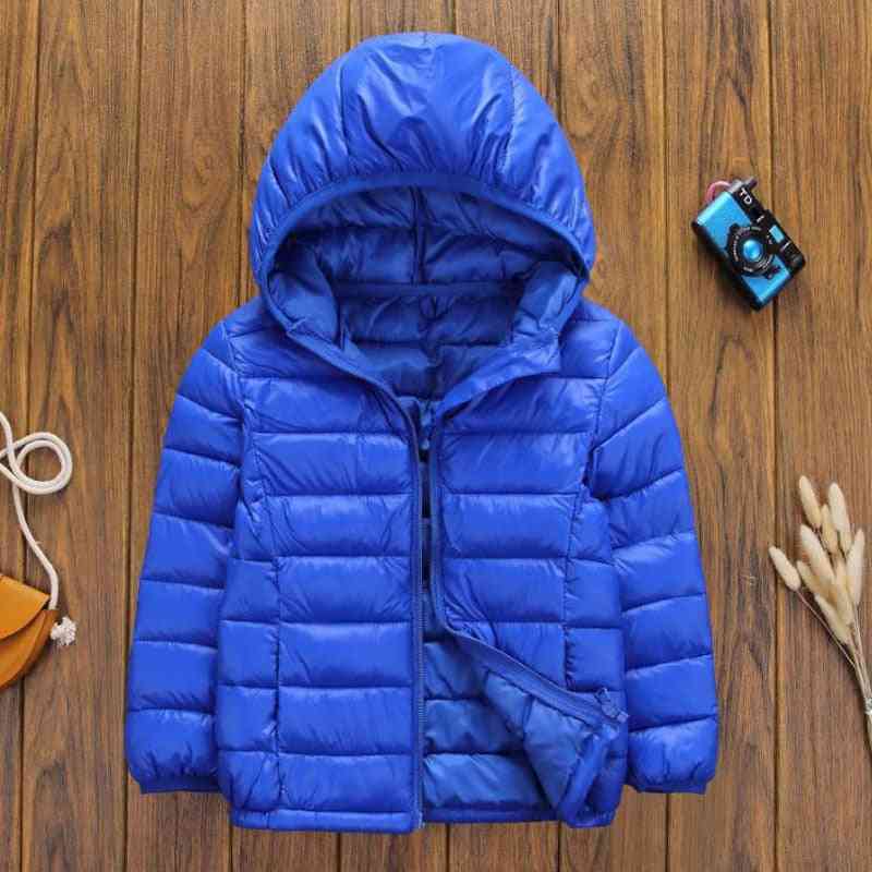 Hot Autumn Winter Hooded Down Jackets For