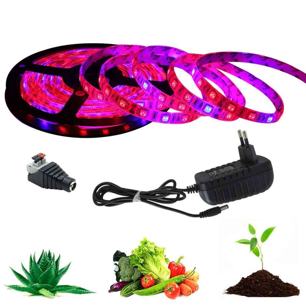 Led Grow Light Strip, Full Spectrum Uv Lamps For Plants, Phyto, Flexible Tape With Adapter