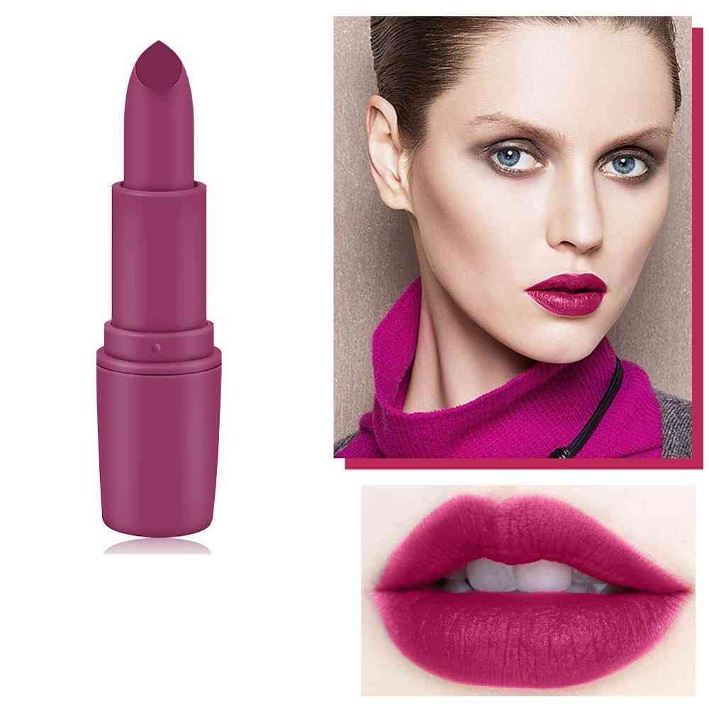 Waterproof Long Lasting Velvet Gloss Lipstick