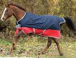 Cold-proof Waterproof Thick Horsecloth
