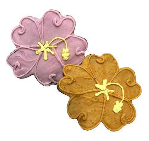 Hibiscus Design Biscuits For Dogs