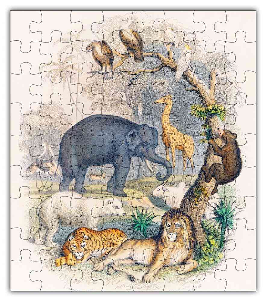 Zoo zvířecí puzzle #6802