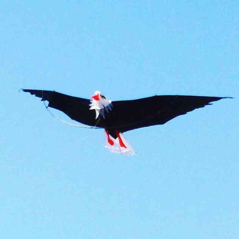 Fly kite, 3d draky pre deti