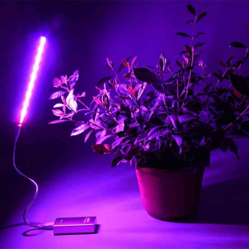Usb Led Plant Growth Lamp Full Spectrum Lights