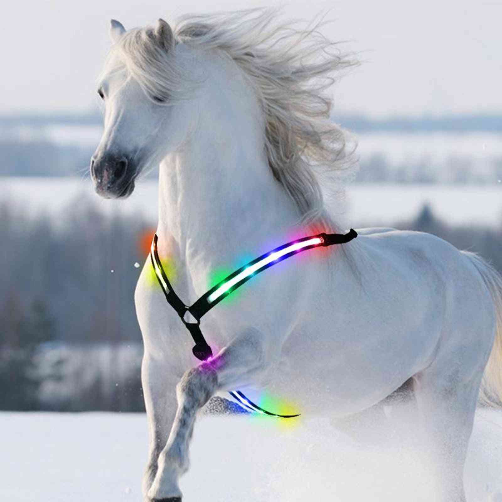 Led Horse Breastplate Collar Usb Rechargeable High Visibility Tack