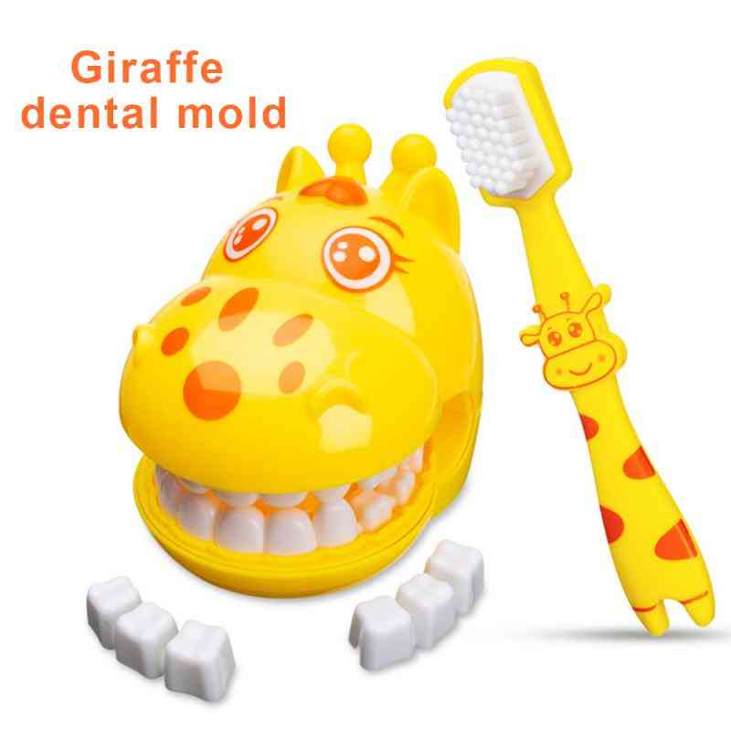 Giraffe Demo Teeth Teaching Model