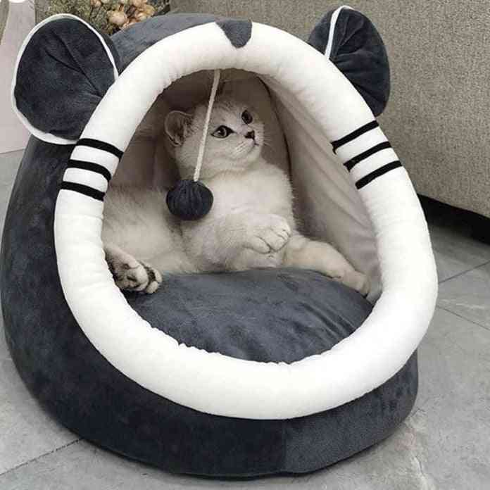 Beltéri cica ház aranyos állat meleg kis ágy