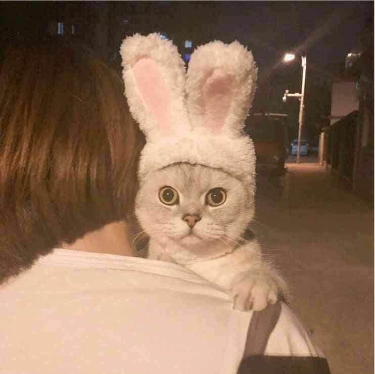 Funny Pet Dog Cat Costume Warm Rabbit Hat