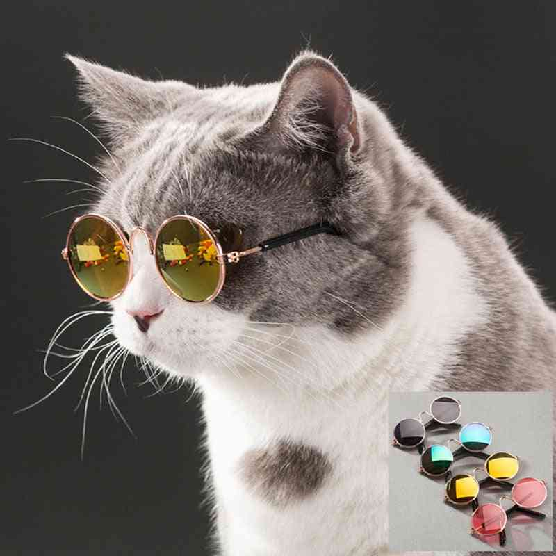Pet Cat Glasses Dog Glasses