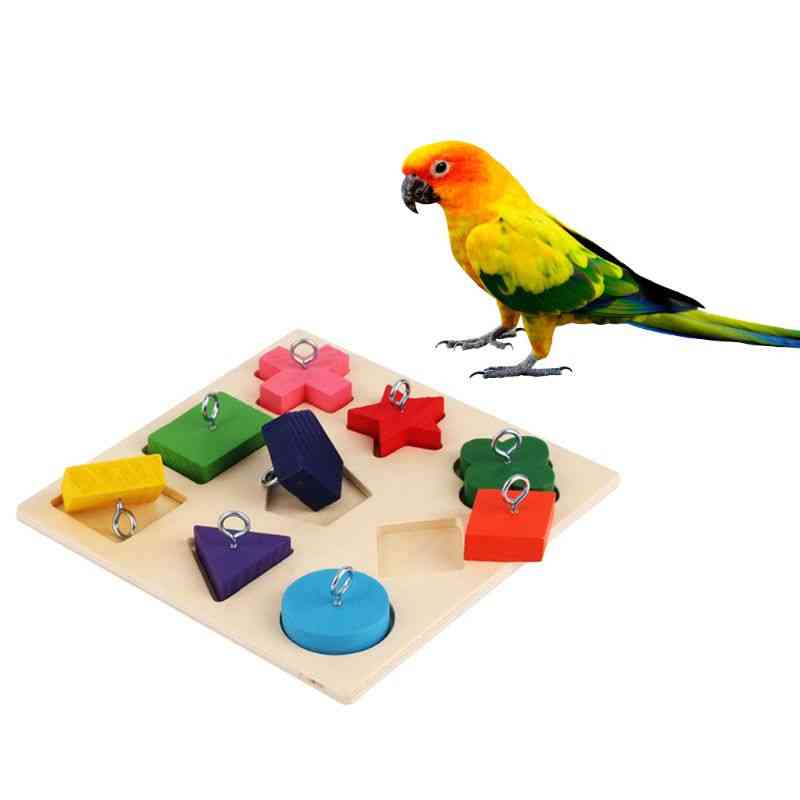 Oiseaux perroquet formation interactive bloc de bois coloré