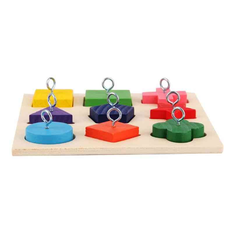 Birds Parrot Interactive Training Colorful Wooden Block