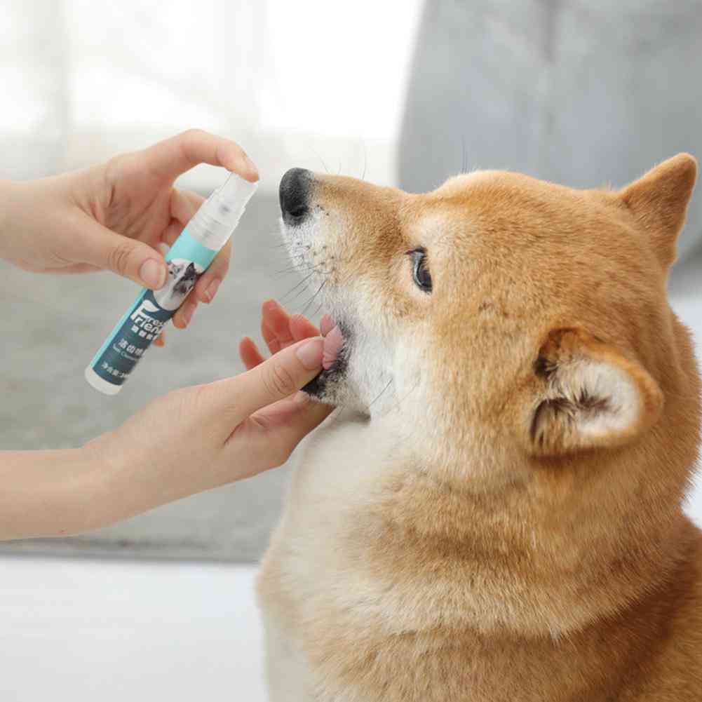 Dog Mouth Cleaning Spray