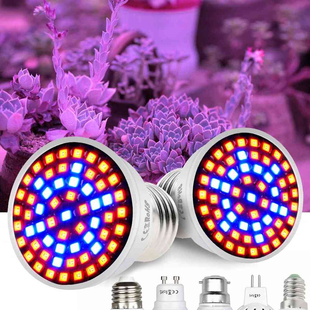 Leds For Flowers Vegetables Greenhouse Hydroponic Growing Bulb