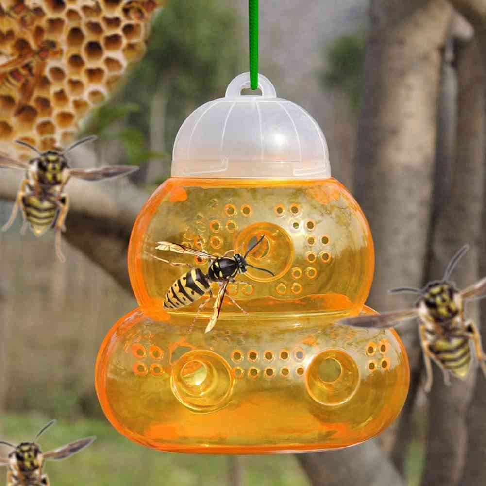 Bee Catcher Beehive Wasp Trap