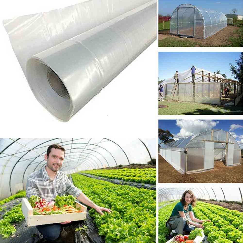 Transparent- Vegetable  Agricultural Cultivation, Plastic Cover Film, Protect Plants