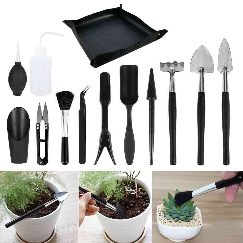 Planter Kit Succulent Plants And Miniature Transplant Seedling Tool
