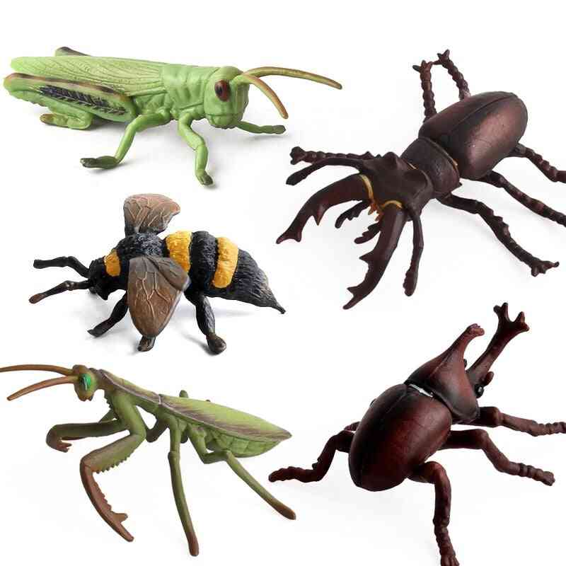 8 erilaista realistista hyönteistä hahmot eläväiset eläinhahmot varhaisessa oppimisessa hyönteisten kognitiivinen lelu