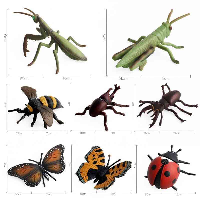 8 erilaista realistista hyönteistä hahmot eläväiset eläinhahmot varhaisessa oppimisessa hyönteisten kognitiivinen lelu