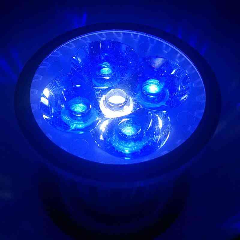 10w Aquarium Led Grow Lights For Fish Tank
