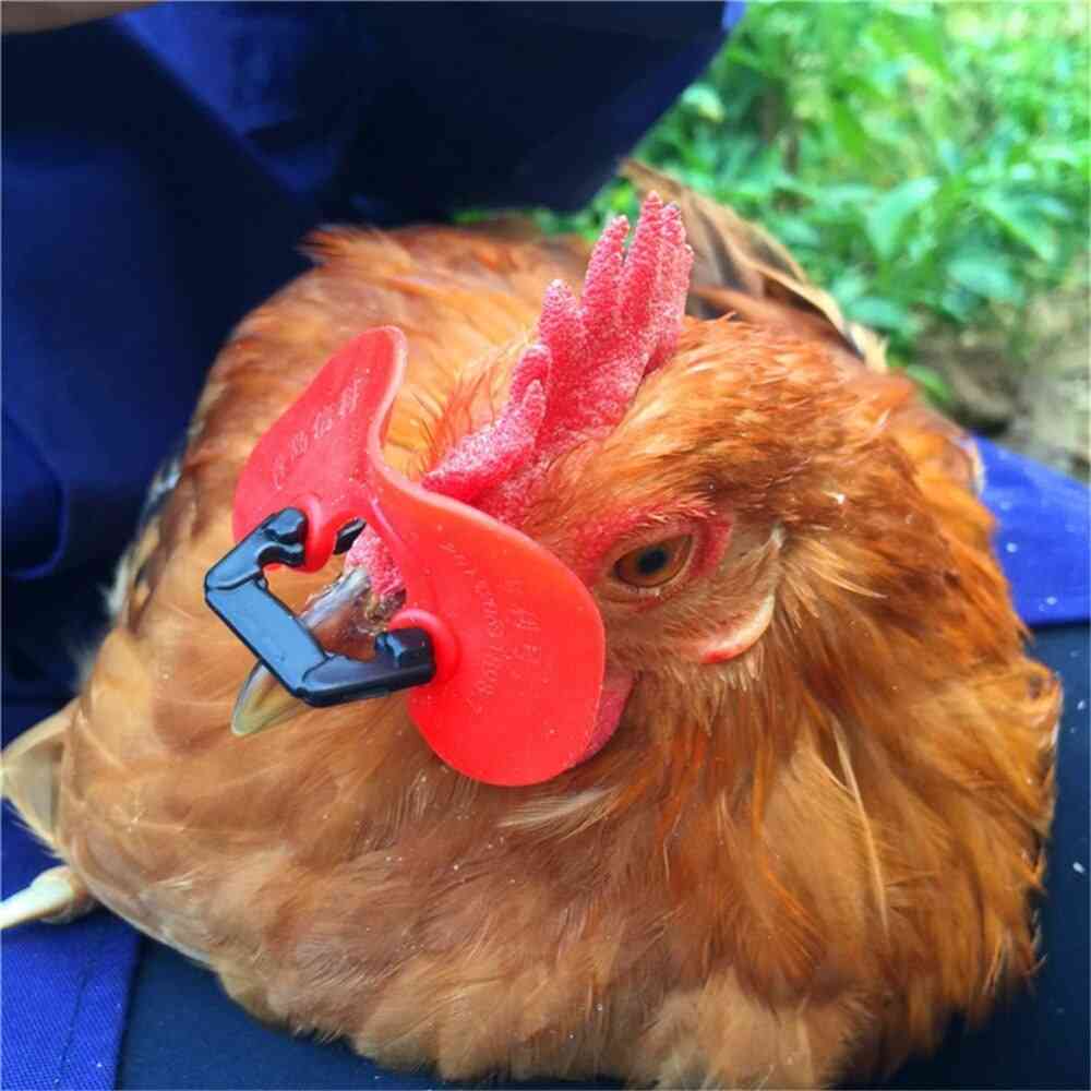 Kanan nokkimista estävät suojalasit