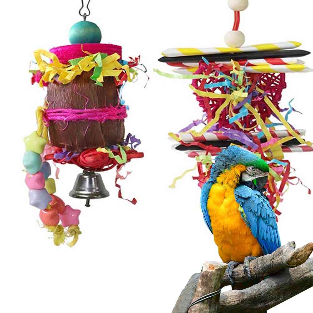 Liten papegøye tygger fôring hengende