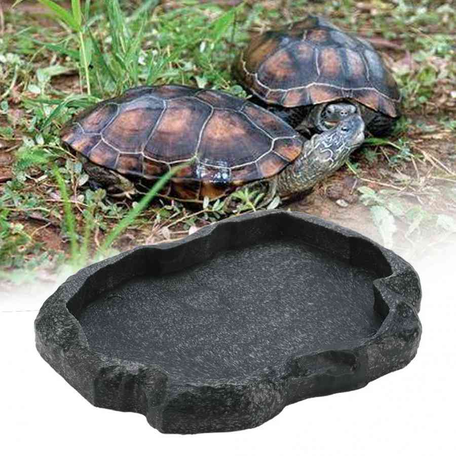 Tortoise Drinker Reptile Feeder Food Dish Feeder Bowl