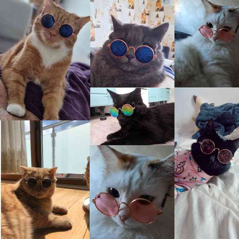 Pet Cat/dog Glasses