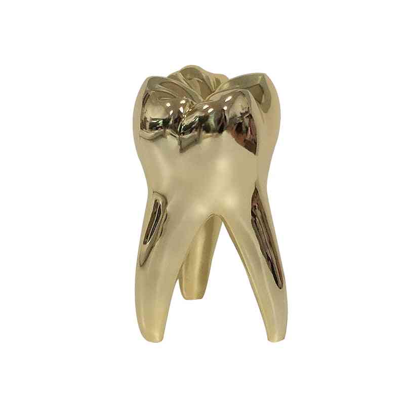 Small Tooth Model Figurines Ornament