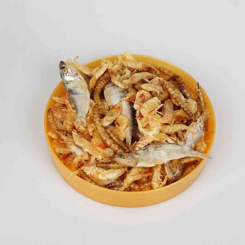 Akvaariokilpikonna- kalsium terveellinen ravitsemus, kilpikonnaruoka