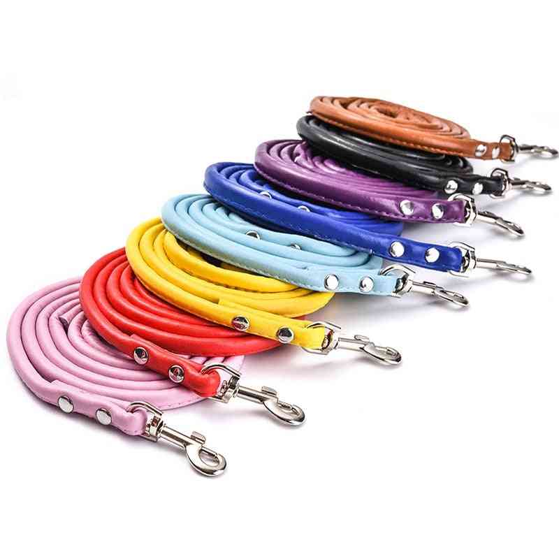 Pet Leash Dog Accessories Chain
